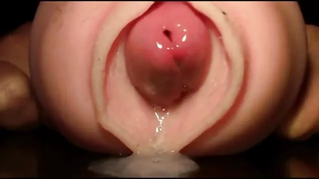 在海灘的飢餓的胖的吮的公雞