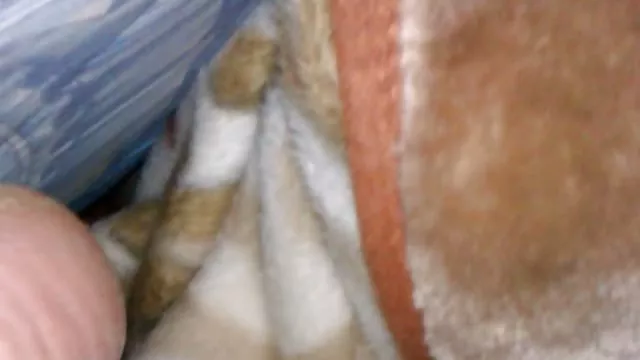 Kesse Bienen，來自土耳其的小妓女和她對快樂的嗜好